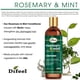 thumbnail image 3 of Viking Revolution Acondicionador para barba y lavado de barba para hombres con aceite de argán y aceite de jojoba, suavizante y fortalecedor de barba, champú y acondicionador para el cuidado de la bar, 3 of 5