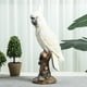 thumbnail image 4 of Estatua de loro, estatuilla decorativa, artesanía, adorno de mesa, escultura de Animal para sala de estar, mesa de entrada, centro de mesa, 4 of 9