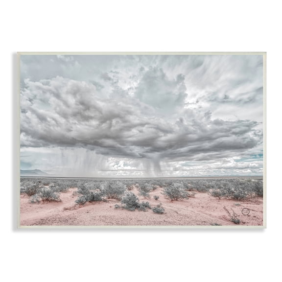 Stupell Industries Rain Cloud Desert Landscape Outdoor Brush Storm Weather, 15 x 10, Design by Nathan Larson