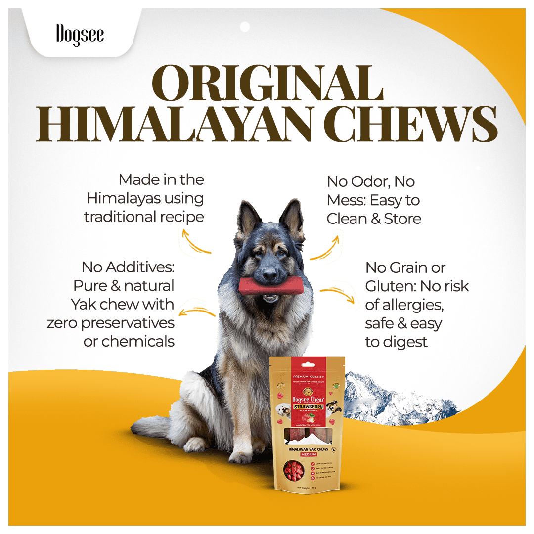 Dogsee Yak Cheese Chews Large Dogs Strawberry Dental Care Immunity 4 Bars
