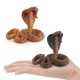 thumbnail image 3 of Simulación de serpiente, modelo de reptil salvaje, figuras de acción de animales realistas, adorno estático, decoración, regalos, 3 of 4