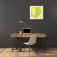 thumbnail image 4 of N Harbick 26x26 White Modern Wood Framed Wall Art Titled - Graphic Shell II, 4 of 5