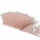 thumbnail image 1 of 1 Meter Ostrich Feather Trim 8-10cm Plumes Ribbon Selvedge For Diy Wedding Dress - 2023, 1 of 4