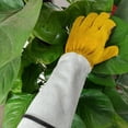 thumbnail image 2 of Guantes de Piel de Vacuno Guantes de Jardinería Guantes Extendidos Antipinchazos y Antipicaduras de Insectos Soldador Guantes de Protección Laboral General, 2 of 5
