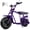 Purple, variant on FRP GMB100 Mini Bike Upgraded Frame Roller Frame, No Engine—Tires, Hydraulic Brake, Seat, Fuel System & Wiring, DIY Bolt-On 79/98/196/212/225cc – Black