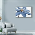 thumbnail image 3 of Trademark Fine Art 'Blue Flower On White' Canvas Art by Tom Quartermaine, 3 of 3