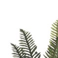 thumbnail image 4 of Hill Interiors Artificial Fern Bunch, 4 of 4