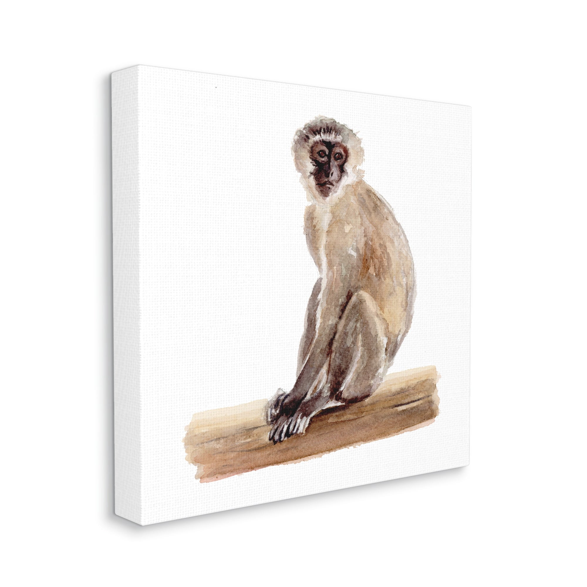 Stupell Industries Langur Monkey Watercolor Painting Children's Nursery Animal, 36 x 36,Design by Fox Hollow Studios