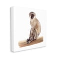 thumbnail image 3 of Stupell Industries Langur Monkey Watercolor Painting Children's Nursery Animal, 17 x 17,Design by Fox Hollow Studios, 3 of 5