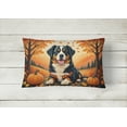thumbnail image 2 of Carolines Treasures DAC1019PW1216 16 x 12 in. Unisex Bernese Mountain Dog Fall Fabric Decorative Pillow, 2 of 4