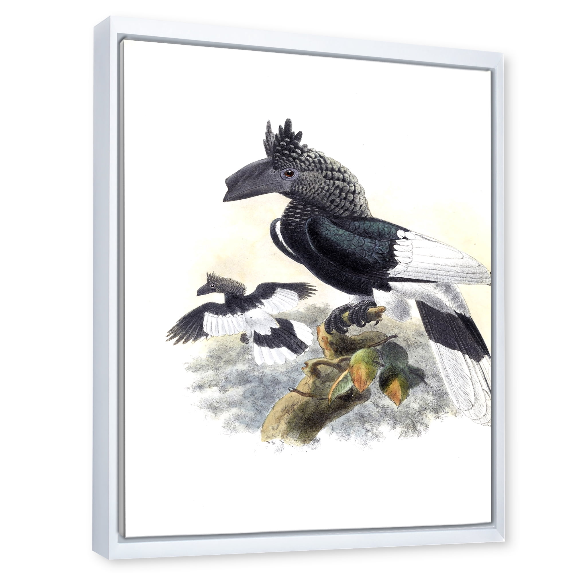 Designart 'Ancient Australian Birds XVI' Traditional Framed Canvas Wall Art Print