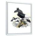 thumbnail image 3 of Designart 'Ancient Australian Birds XVI' Traditional Framed Canvas Wall Art Print, 3 of 5