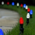 thumbnail image 5 of Wintergreen Lighting C7 Red, White & Blue OptiCore LED Pathway Light Kit, 75 Lights, 12" Spacing, Black Wire, Black Stake, 75 ft, 5 of 8