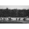 thumbnail image 2 of Salgado Gispert, Gloria 32x22 White Modern Wood Framed Museum Art Print Titled - Tardes Destiu, 2 of 4