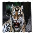 thumbnail image 3 of Ambesonne African Shower Curtain, Roaring Tiger Wildlife, 69"Wx70"L, Multicolor, 3 of 5