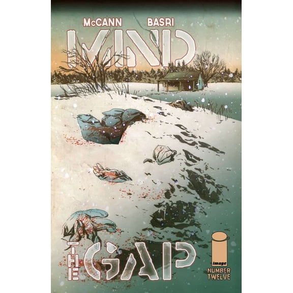 Mind the Gap #12B VF ; Image Comic Book