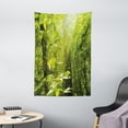 thumbnail image 1 of Nature Tapestry, Forest with Sunray Foliage Leaf Branches Woodland Eco Jungle Misty Picture, Wall Hanging for Bedroom Living Room Dorm Decor, 40W X 60L Inches, Lime Green Brown, by Ambesonne, 1 of 2