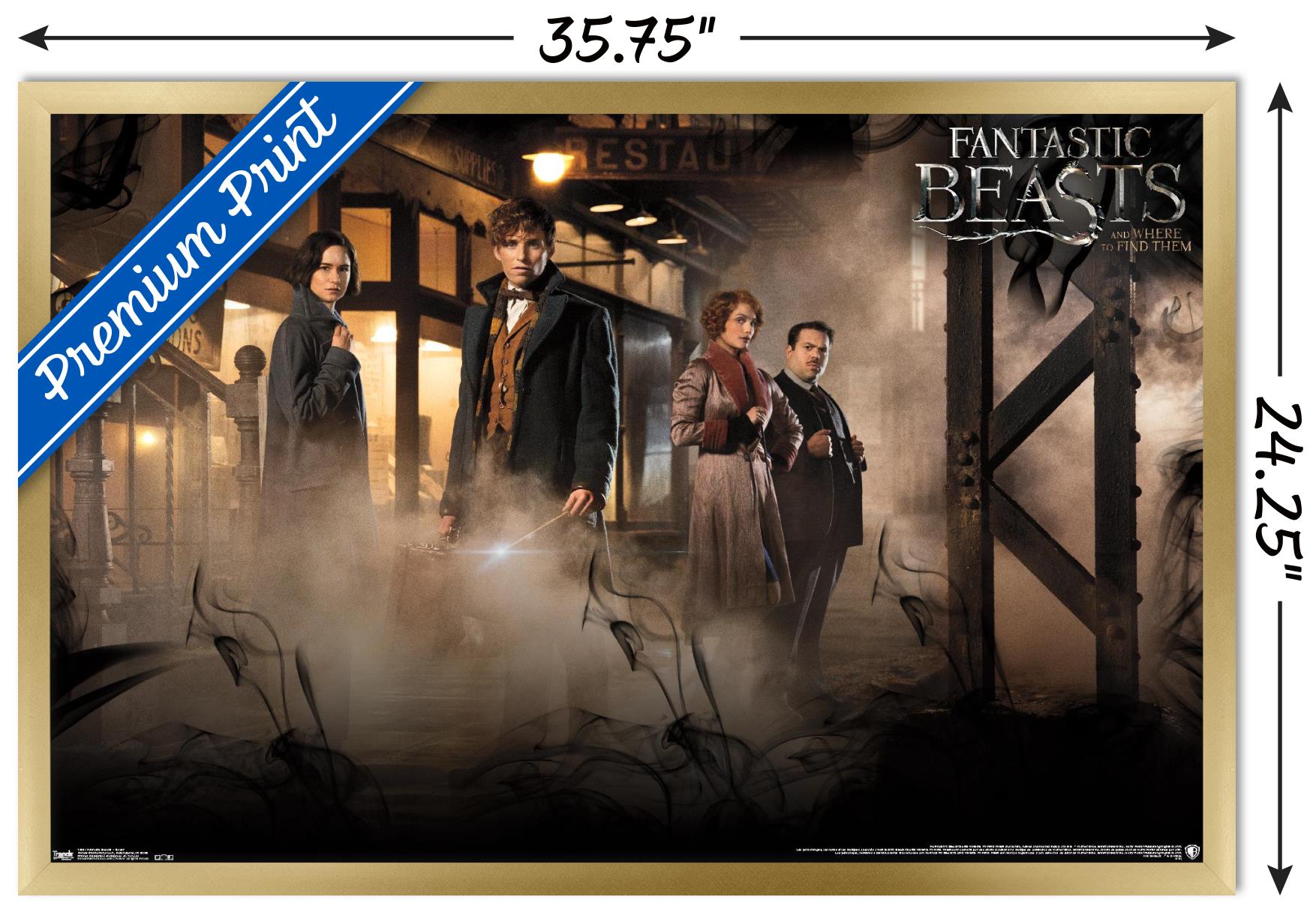 Fantastic Beasts And Where To Find Them - Teaser One Sheet Wall Poster, 22.375" x 34", Framed