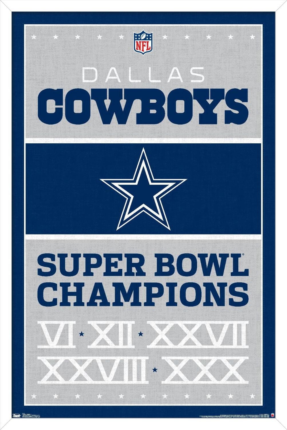 NFL Dallas Cowboys - Champions 13 Wall Poster, 22.375" x 34"