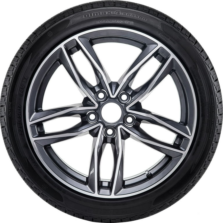 Radar Dimax 4 Season All Weather 225/50R17 98W XL Passenger Tire