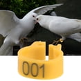 thumbnail image 4 of Anillos Para Patas 100PCS/Bolsa 8MM 001-100 Letra De Plástico Numerada, 4 of 8