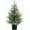 1PC D2, variant on Minibee 2FT Artificial Topiary Norfolk Pine Tree with Pot, Real Touch Fake Potted Plant, Realistic Indoor & Outdoor Decoration