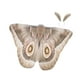 thumbnail image 2 of Capa de mariposa decorativa para Halloween, chal de polilla para disfraces de actuación en el escenario Café ligero, 2 of 9