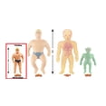thumbnail image 3 of Mini juguete elástico STRETCH ARMSTRONG STRETCH ARMSTRONG STRETCH ARMSTRONG, 3 of 5