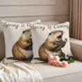 thumbnail image 2 of Happy Groundhog Day Outdoor Waterproof Pillow Covers, Spring Seasonal Holiday Brown Animal Decorative Square Throw Pillowcase Sofa Cushion Sham for Patio/Couch/Chair, 24"x24" 2 Pack, 2 of 8