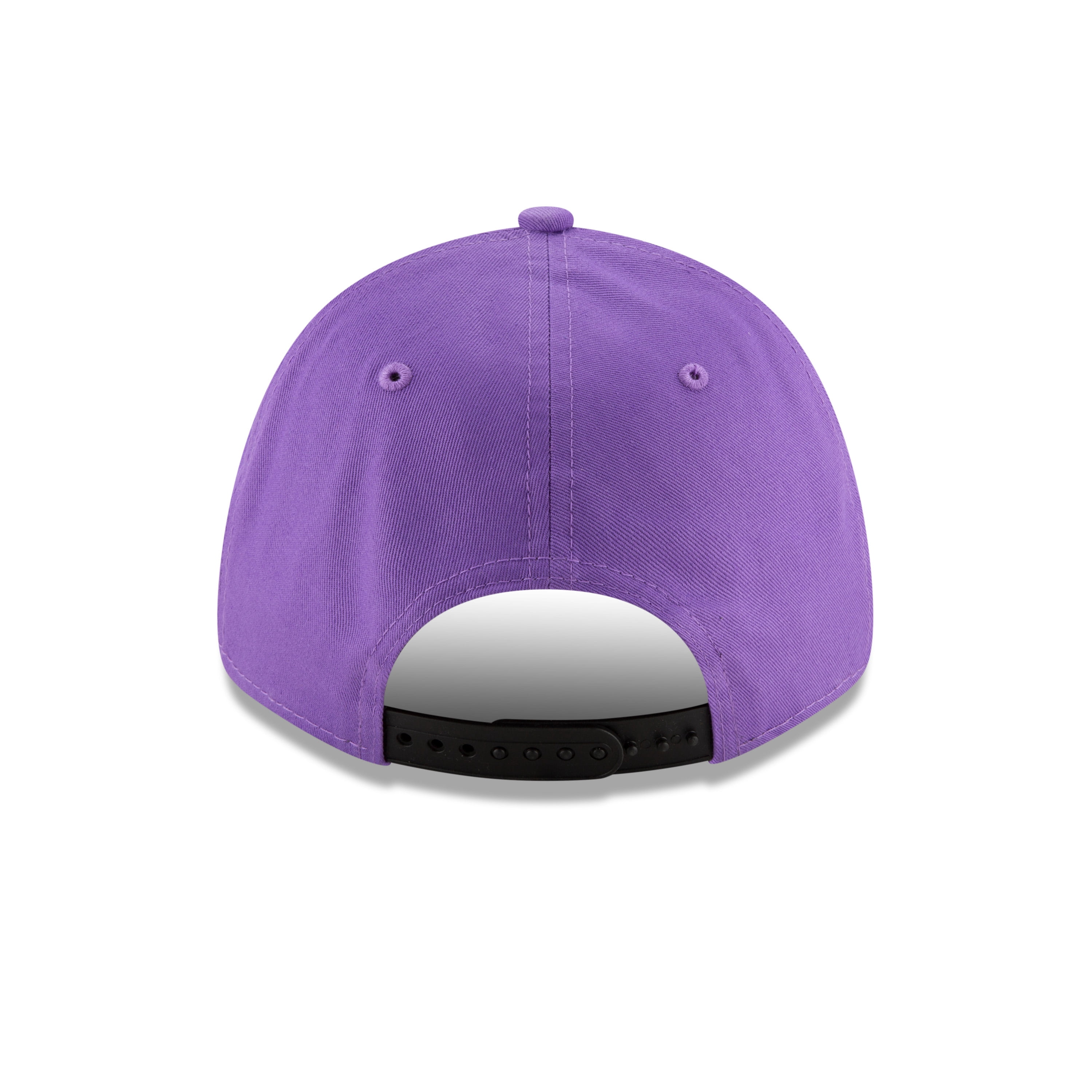 Men's Toronto Raptors NBA Authentics Hardwood Classic Purple