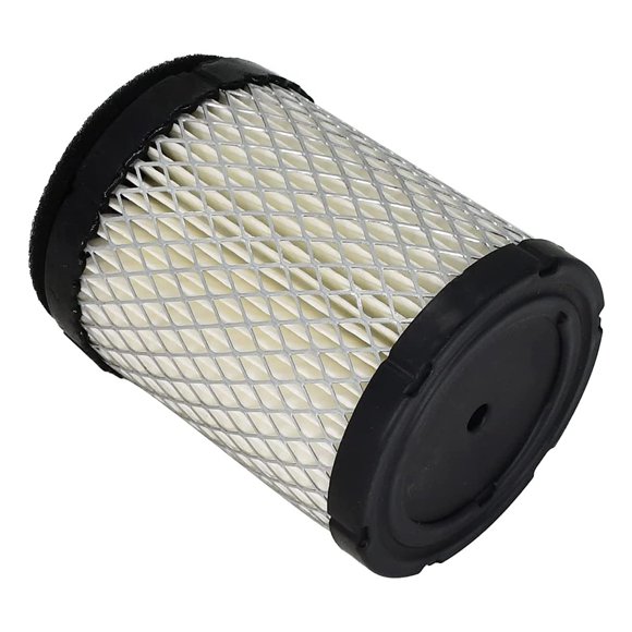 Onan 4000 Fuel Filter
