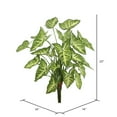 thumbnail image 3 of Vickerman Vickerman 22" Artificial Green Syngonium Bush Featuring 25 Leaves, 3 of 3