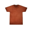 thumbnail image 2 of Colortone Oil Wash T-Shirts Men Adult Sizes S to 3XL Cotton, 2 of 4
