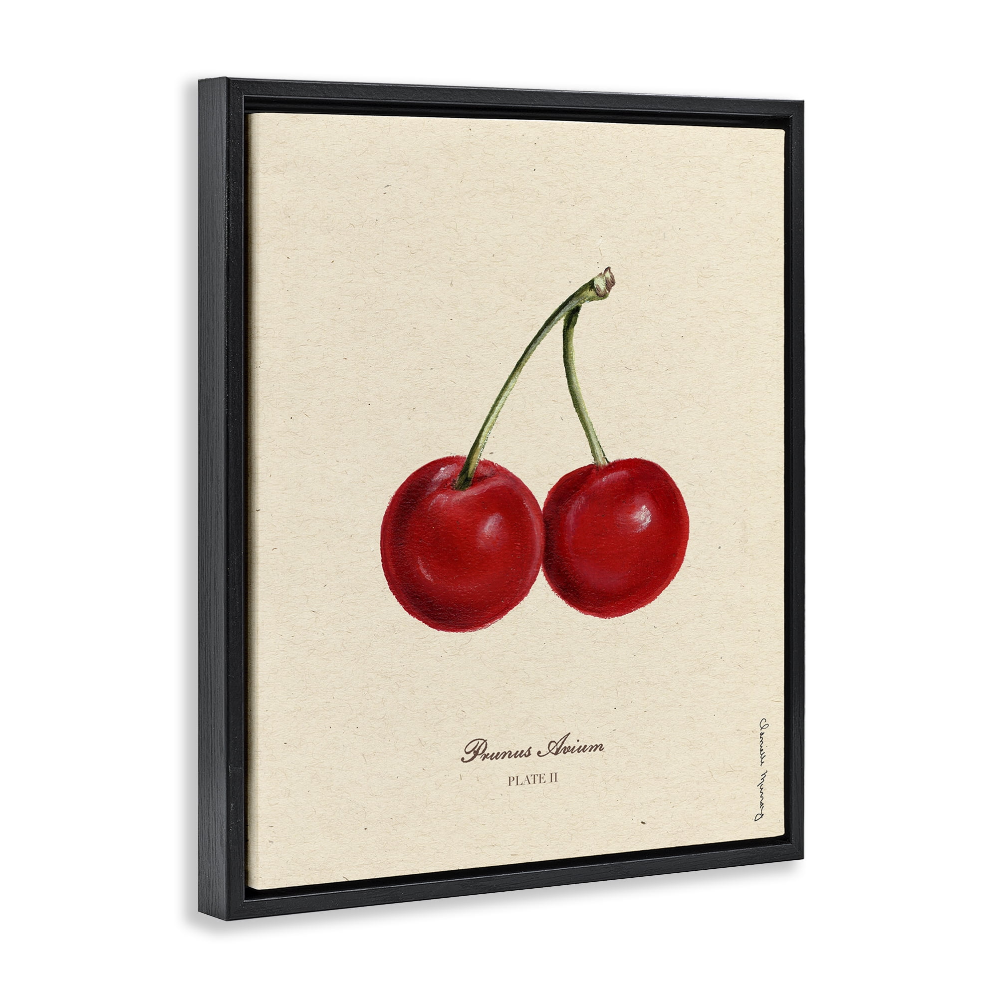 Stupell Industries Cherry Fruit Portrait Black Framed Floater Canvas Wall Art, design by Danielle Murray