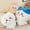 Chiikawa, variant on Momonga Plush, Chickawa Plush Series Long Doll, Anime Usagi Hachiware Chiikawa Momonga Plushies, Stuffed Animal Soft Pillow Toys, Cute Gift for Kids & Girls, Birthday Gift, 11. inch / 30cm