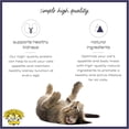 thumbnail image 3 of Dr. Elsey's cleanprotein Chicken Flavor Wet Cat Food 2.75 oz Can (Pack of 24), 3 of 7