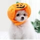 thumbnail image 1 of Ahorros de Halloween, disfraz de calabaza para perro Gnobogi, sombrero de calabaza para perro, tocado para mascota para fiesta de Halloween, gorro de calabaza ajustable, bonito sombrero de calabaza,, 1 of 6