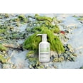 thumbnail image 2 of Sea Moss Shower Gel, 2 of 2