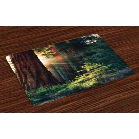 National Parks Placemats Set of 4 Morning Sunlight in Wilderness Yosemite Sierra Nevada United States Nature, Washable Fabric Place Mats for Dining Room Kitchen Table Decor,Green Brown, by (Best Places In Sierra Nevada)