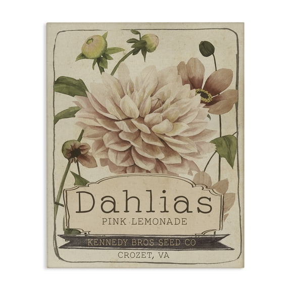 Stupell Industries Cottage Pink Lemonade Dahlias Vintage Floral Seed Packet Canvas Art, 16 x 20, by Studio W
