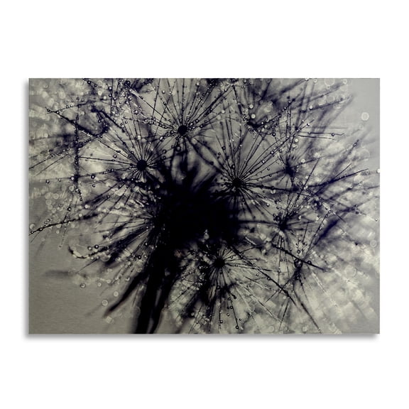 Trademark Fine Art 'Morning Sparkles' Brushed Aluminum Wall Art Art by Beata Czyzowska Young