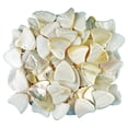 thumbnail image 5 of Exotic Plectrums - White Abalone Shell Guitar Or Bass Pick - 2.0 mm - Shark Fin Shape - Handmade Specialty Exotic Luxury Plectrum - 24 Pack, 5 of 5