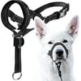thumbnail image 1 of Pet headband with safety strap and reflective straps Padded head collar for small to medium pets, 1 of 4