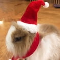thumbnail image 4 of Greeniant Mascotas conejos liebre cerdo hurón gorro de Navidad divertido disfraz hámster silenciador ropa otoño vestir accesorios de maquillaje Memoriales de mascotas Greeniant PT004583-01, 4 of 6