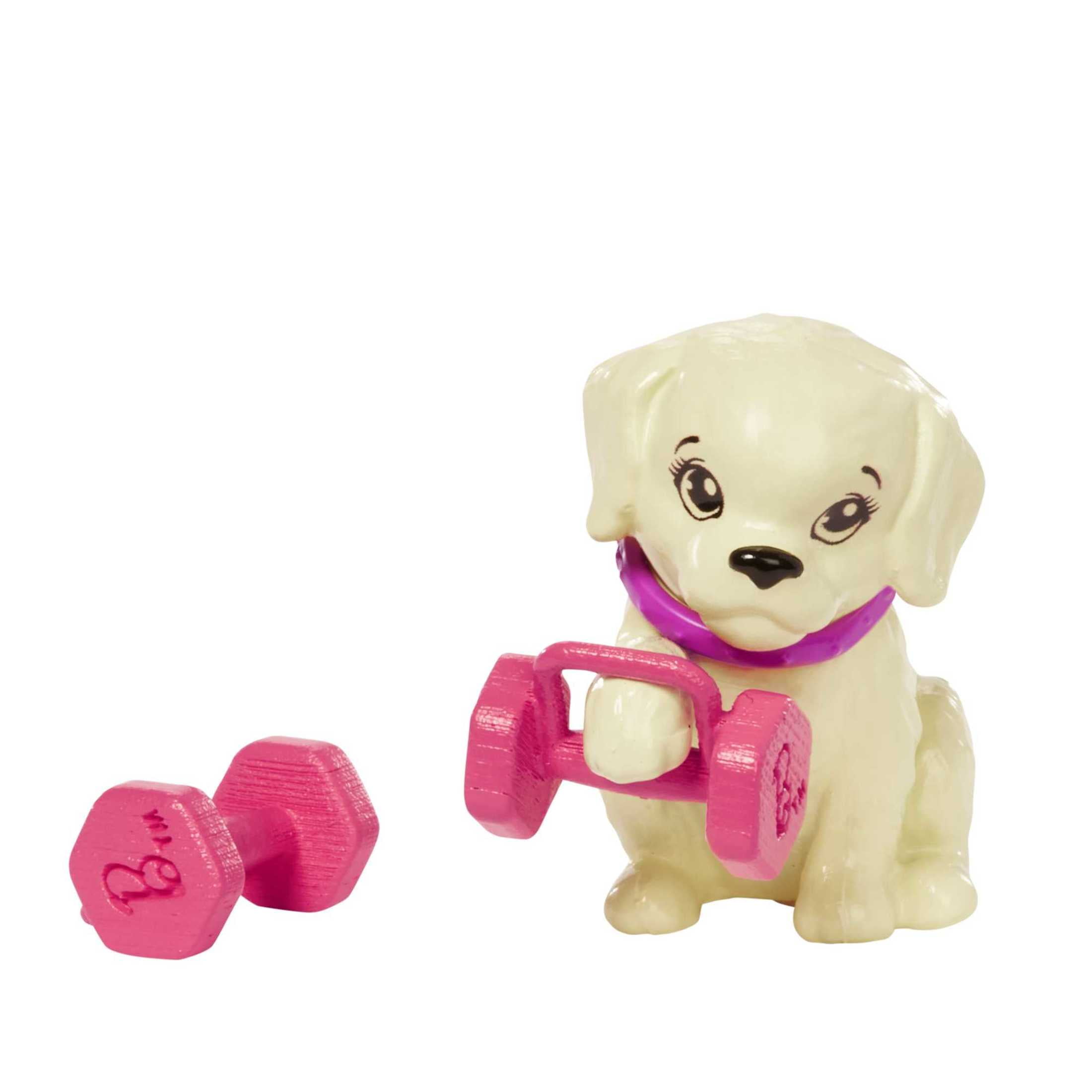 Barbie SelfCare Posable Doll, Brunette Workout Doll with Puppy and Accessories  (图5)