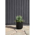 thumbnail image 5 of Veradek Mason Series Kona 10" Plastic-Stone Planter - Black, 5 of 8