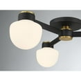thumbnail image 6 of Ceiling Light in Matte Black with Natural Brass, 6 of 7