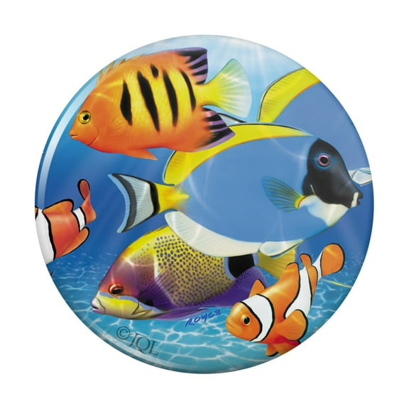 Tropical Coral Reef Fish Clown Kitchen Refrigerator Locker Button Magnet