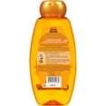 thumbnail image 2 of Garnier Whole Blends Moisturizing Daily Shampoo with Moroccan Argan, 22 fl oz, 2 of 6
