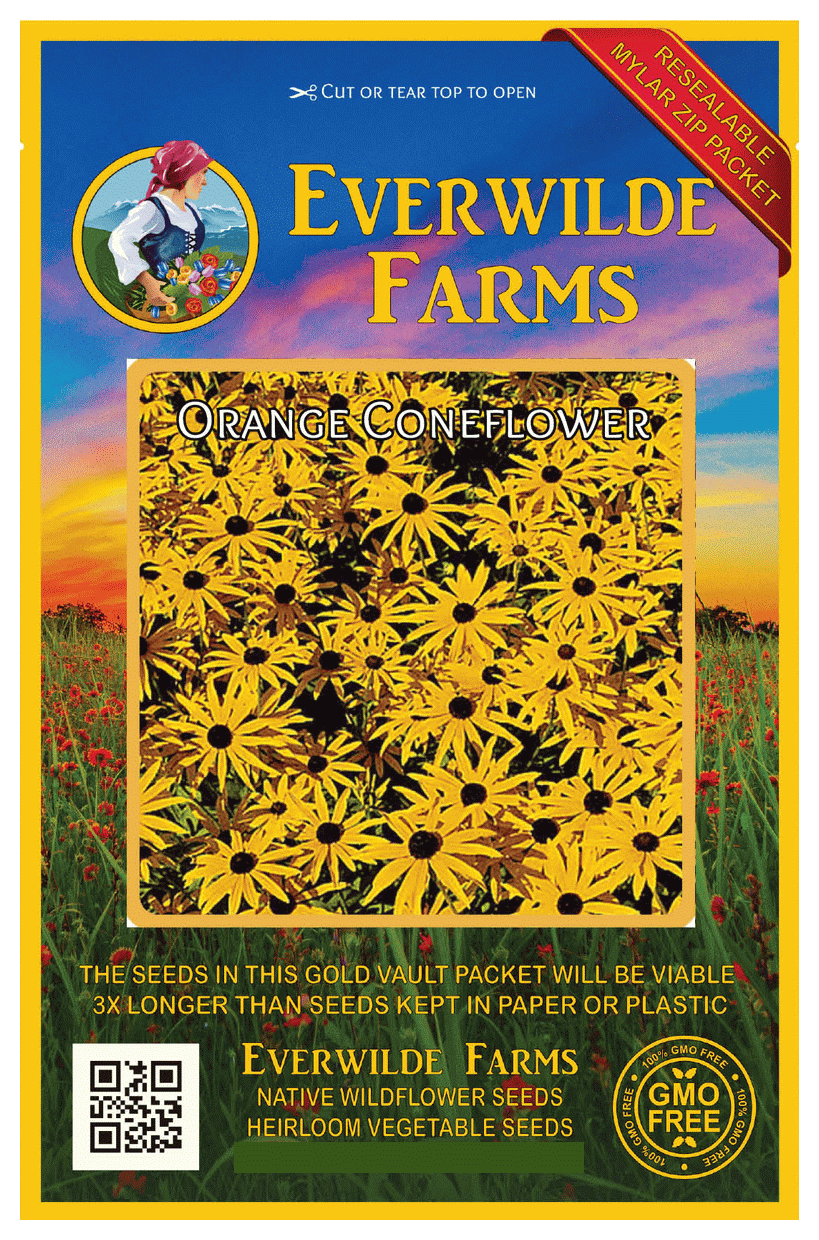 Everwilde Farms 200 Orange Coneflower Native Wildflower Seeds Gold